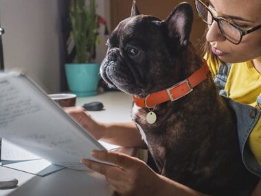 Finding the Best Pet Insurance in California